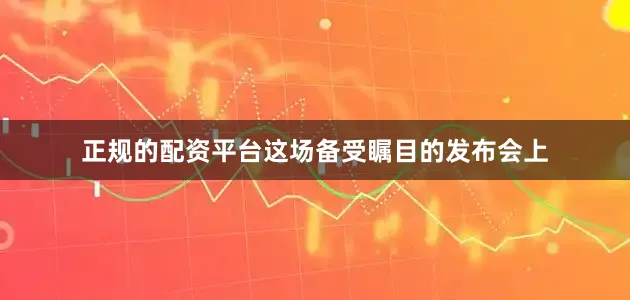 正规的配资平台这场备受瞩目的发布会上