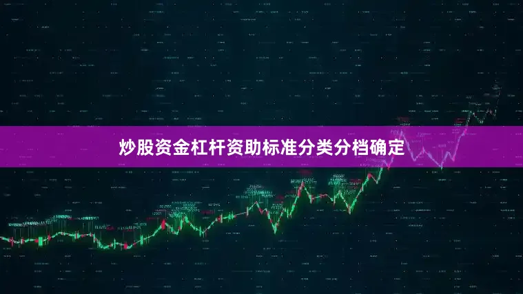 炒股资金杠杆资助标准分类分档确定